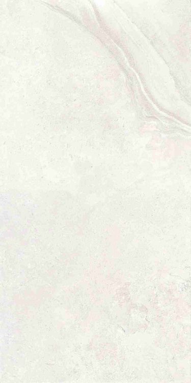 Petra Viva Bone Matte 24 x 48